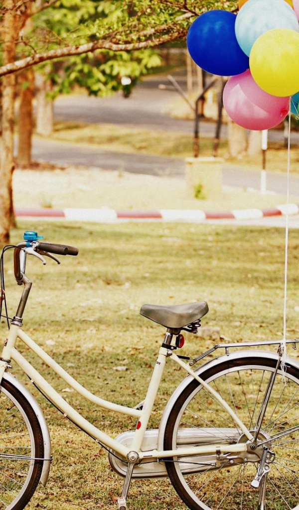Bелосипед с корзиной и шарами