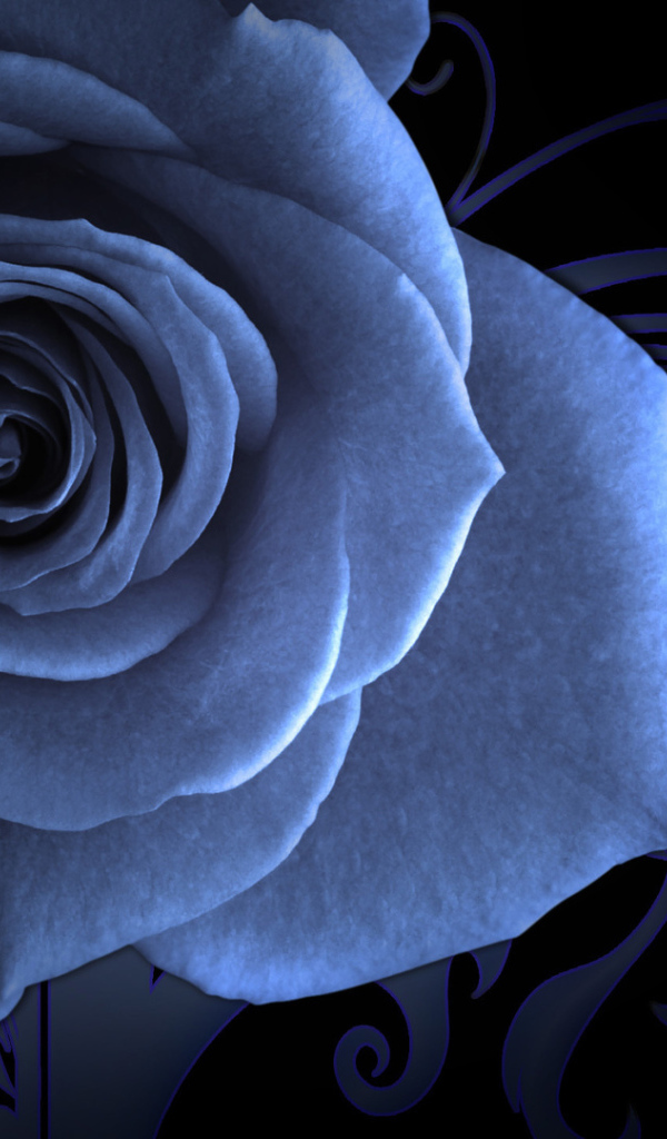 Синяя роза на красивом фоне