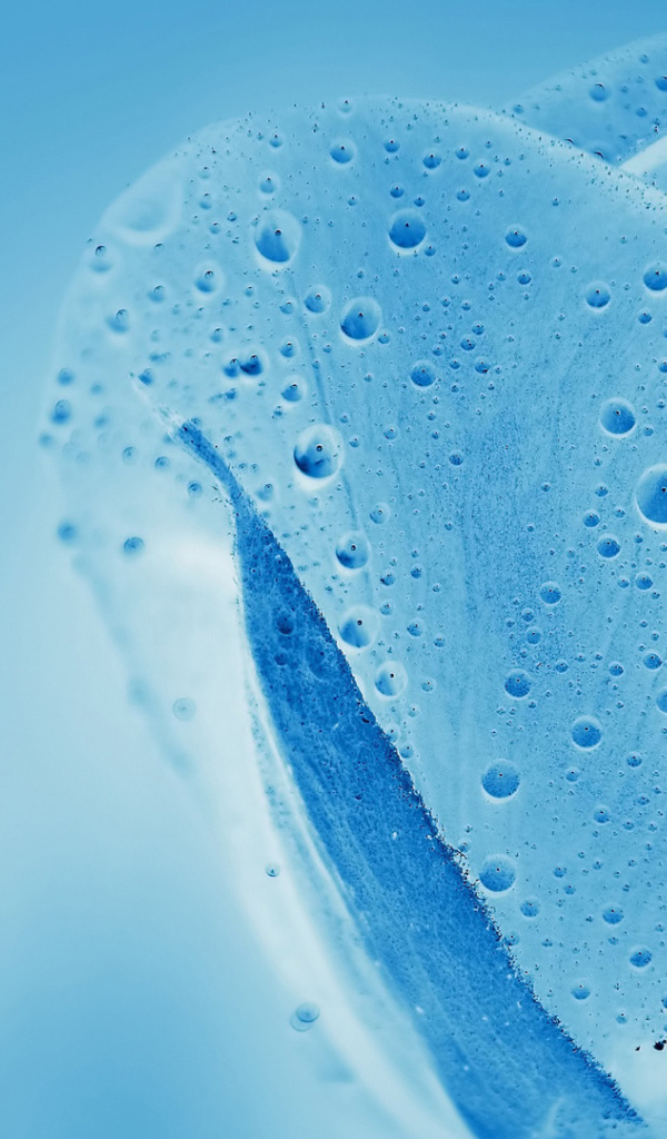 Синяя водяная роза