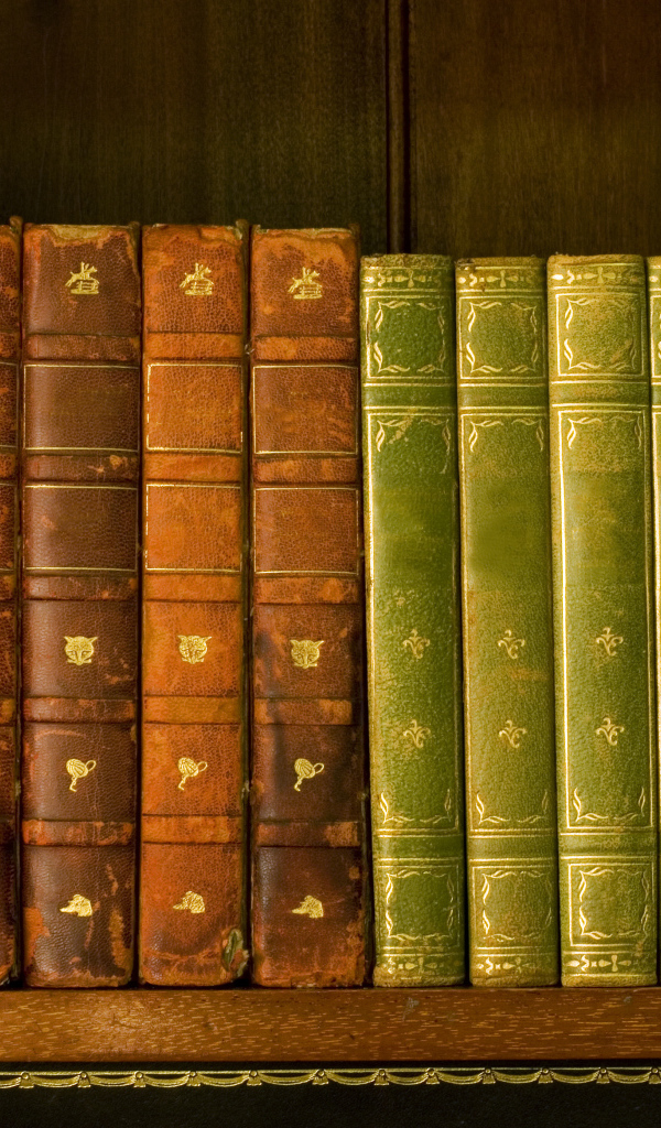 Книги на полке