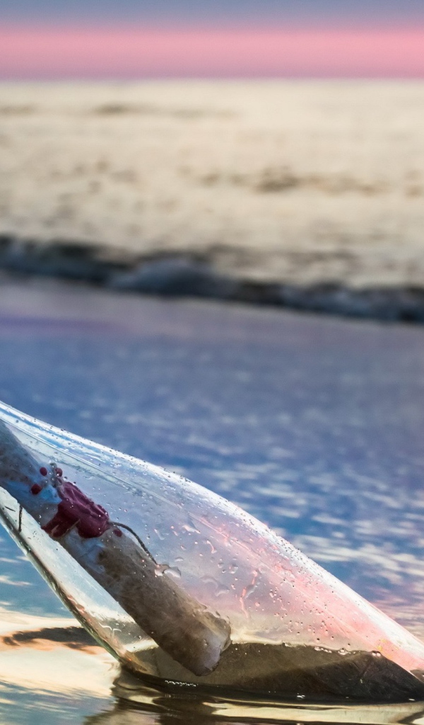 Бутылка с письмом