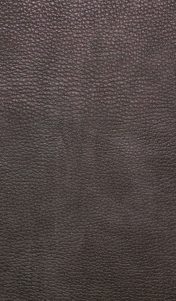 Kоричневая кожа