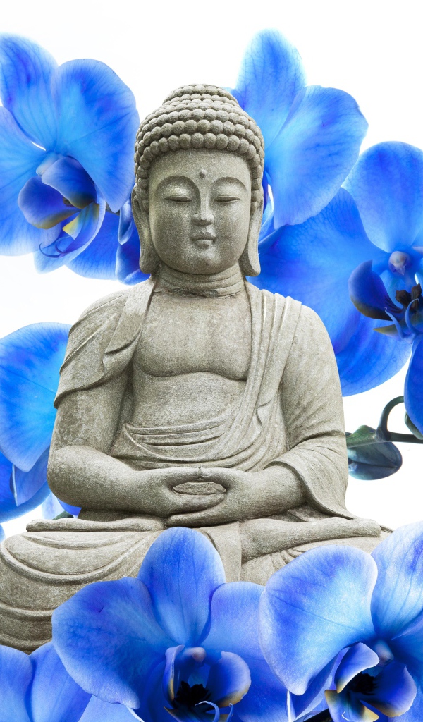 Будда на фоне цветов