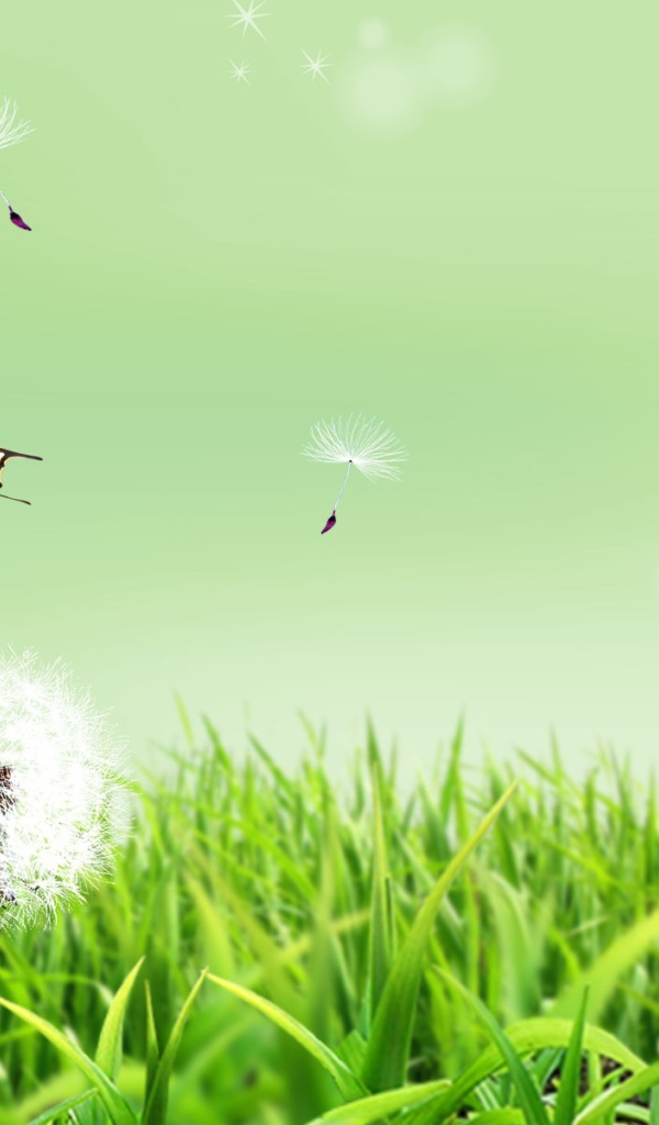 Бабочка на природе