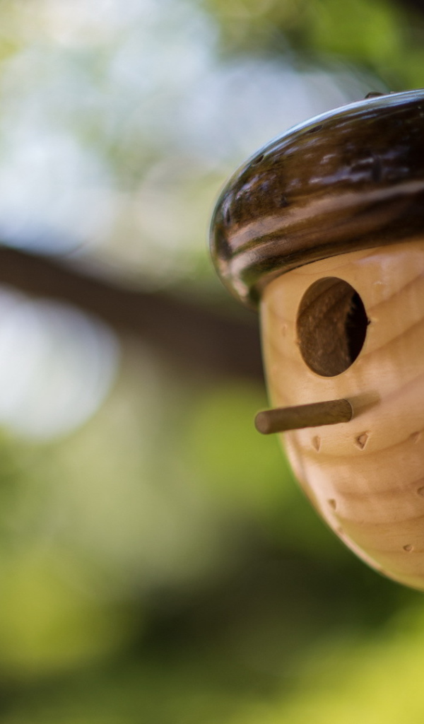 Домик в форме желудя