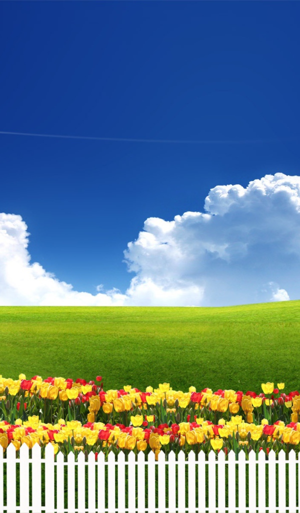 Чистое небо