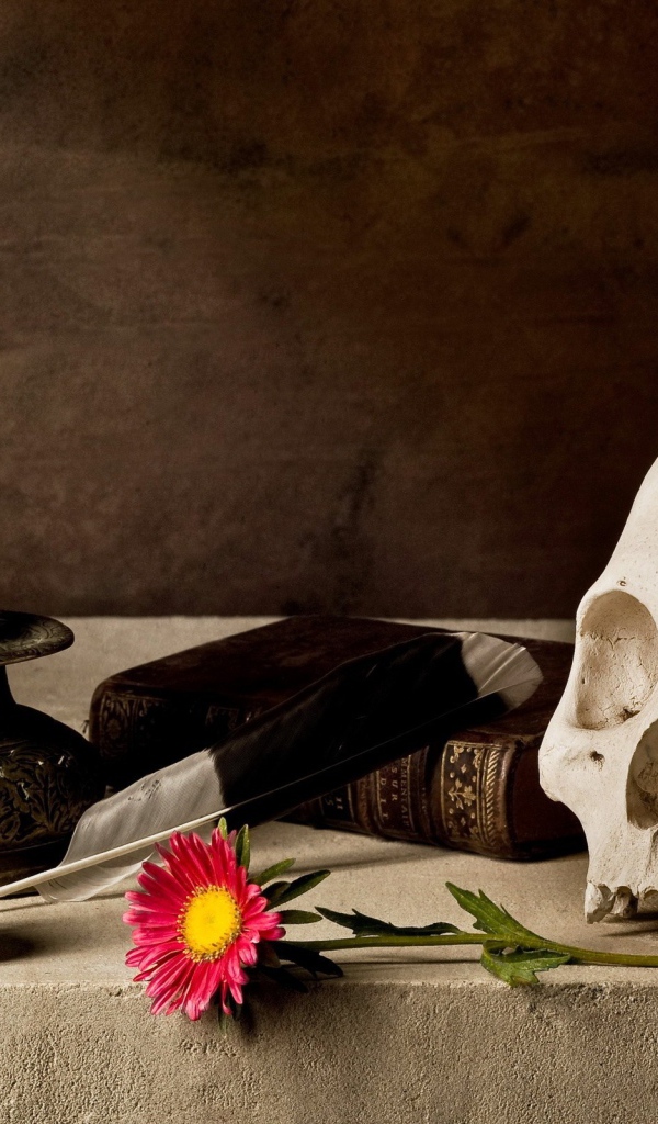 Композиция с черепом