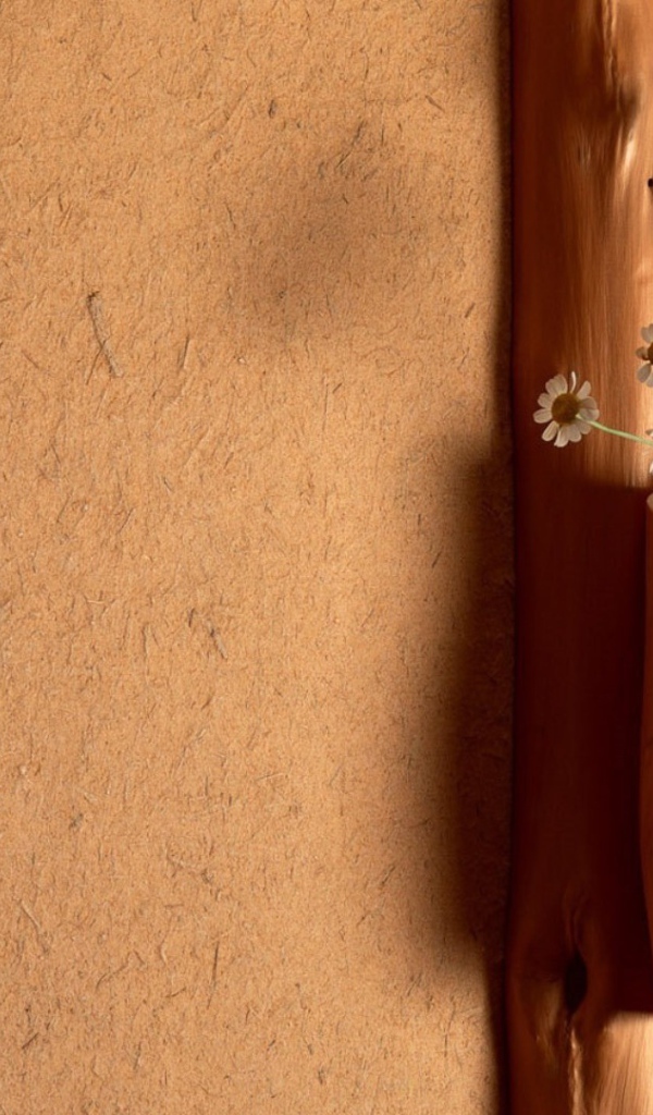 Ромашки в деревянной вазе