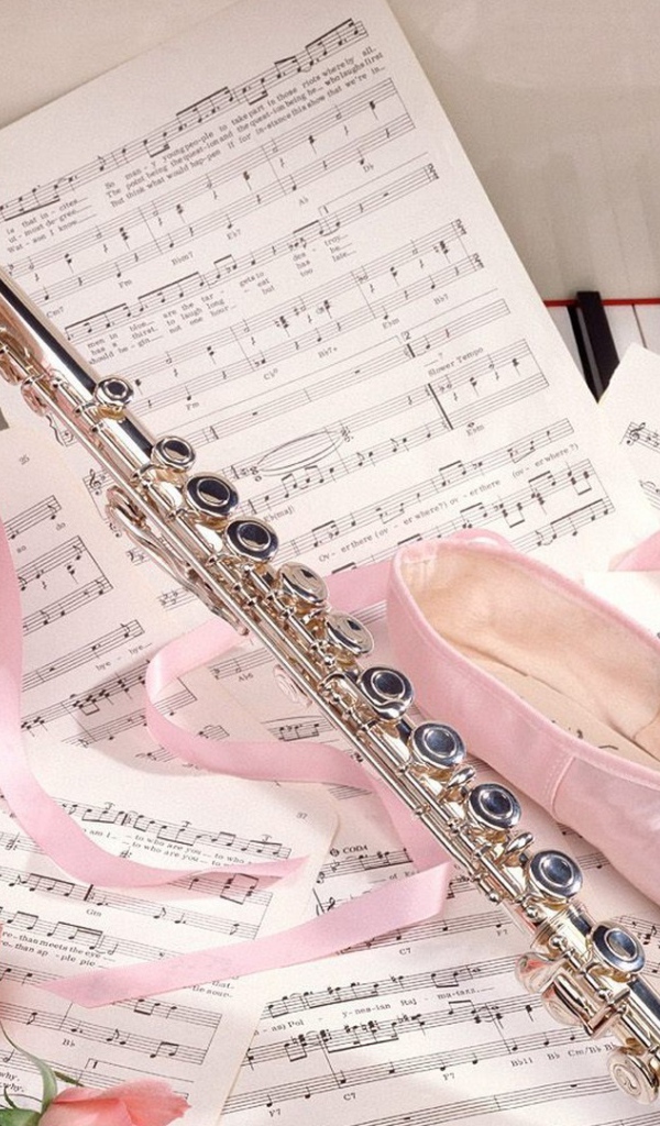 Танцевальные тапочки и ноты