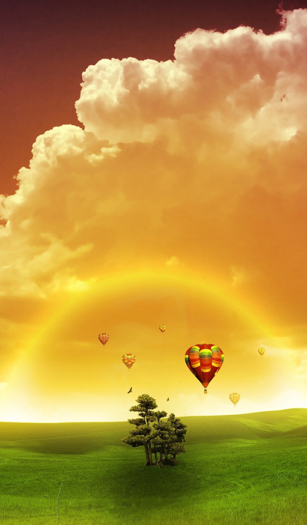 Полет мечты