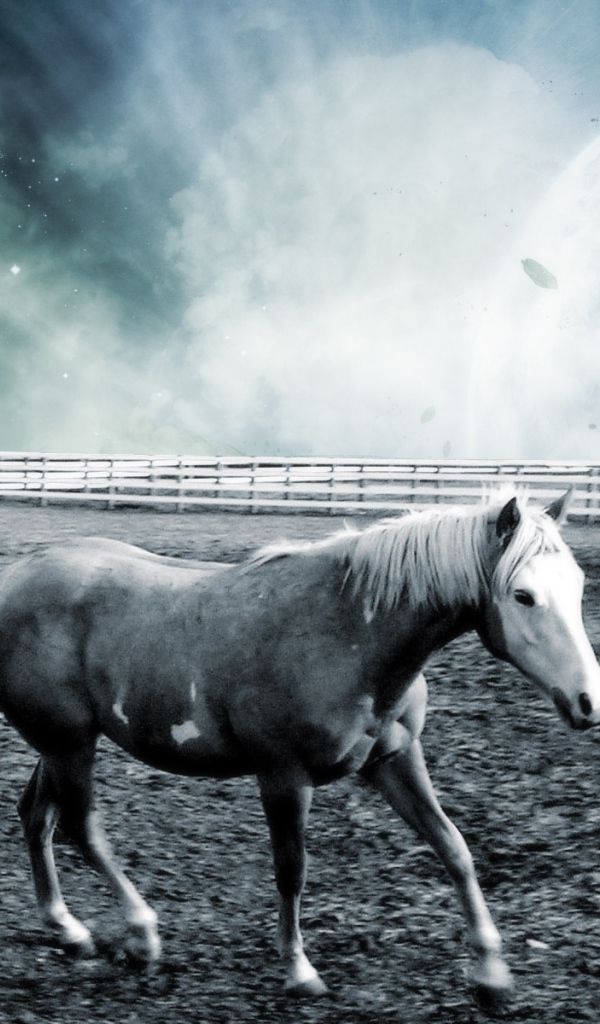 Лошадь в фантастическом мире