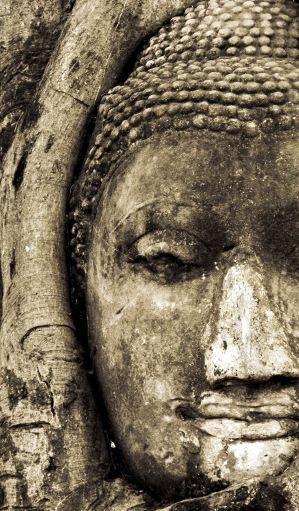 Лицо Будды в дереве
