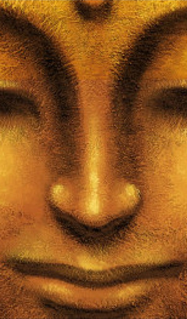 Лицо золотого Будды