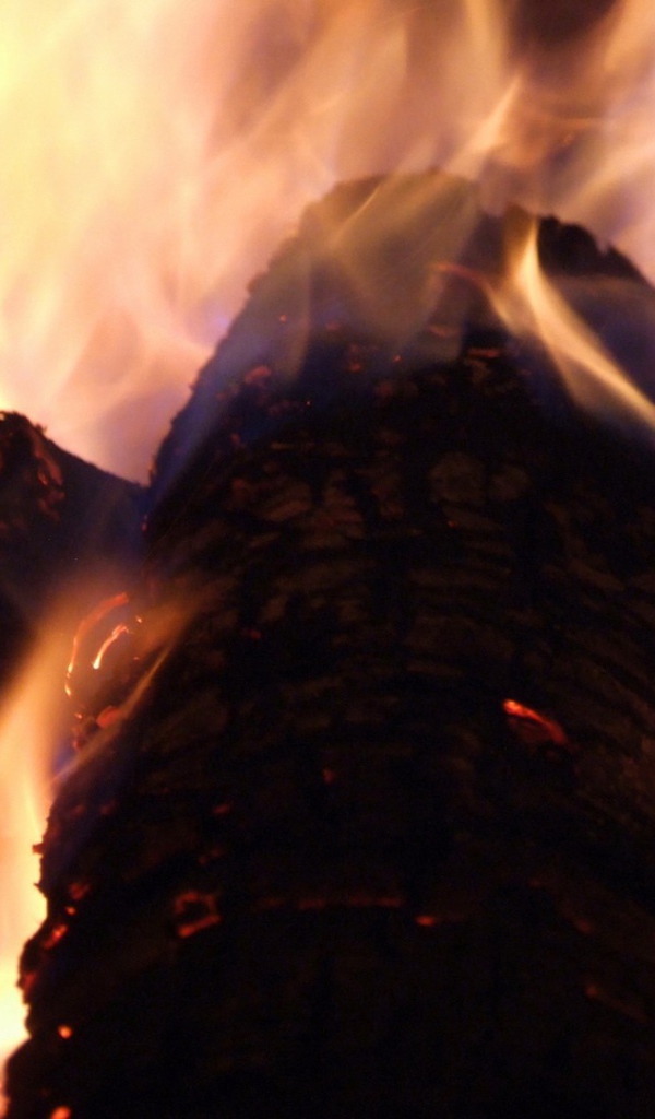 Огонь на дровах в камине