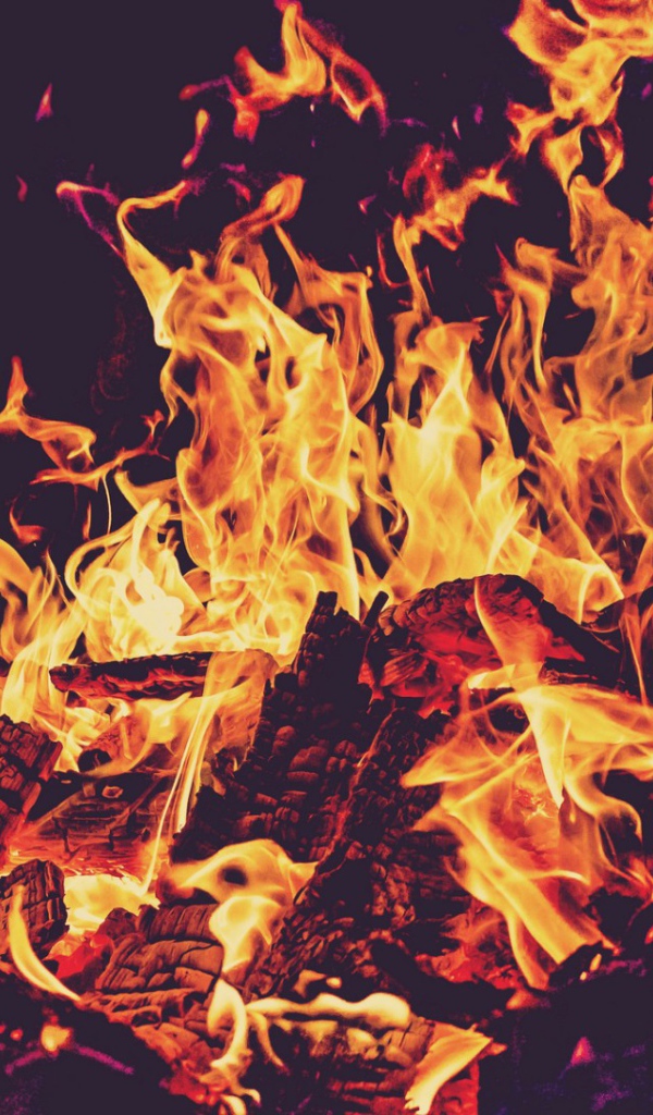 Пламя костра