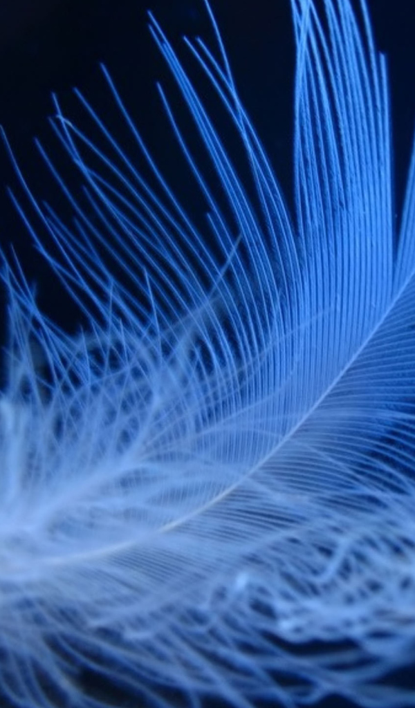 Пушистое неоновое перо