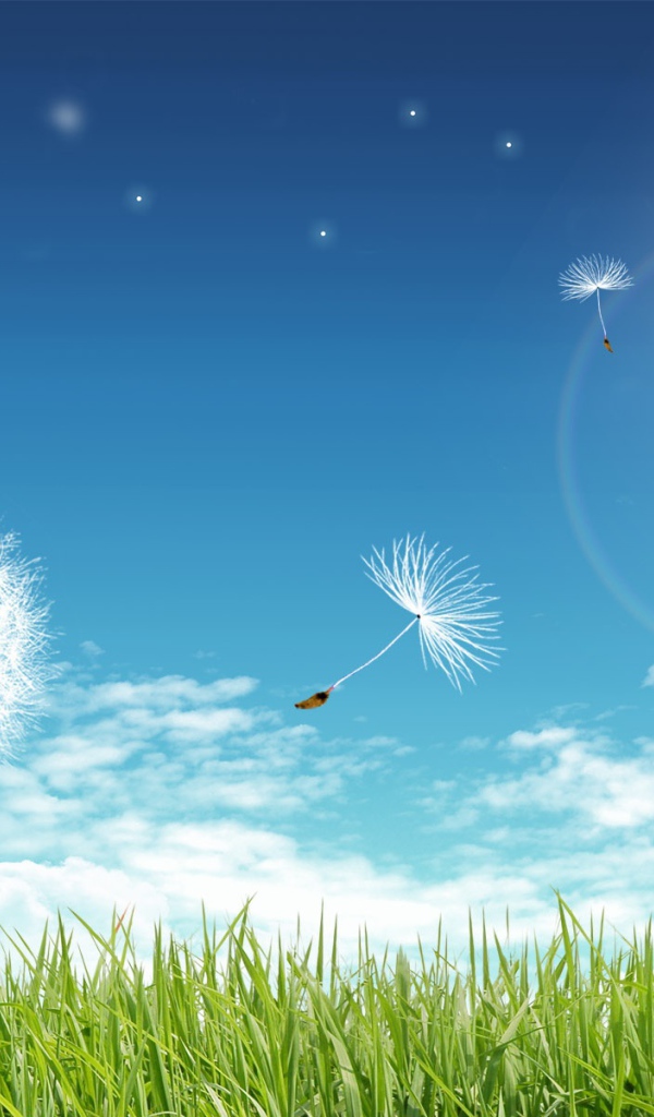 Чистые лучи солнца