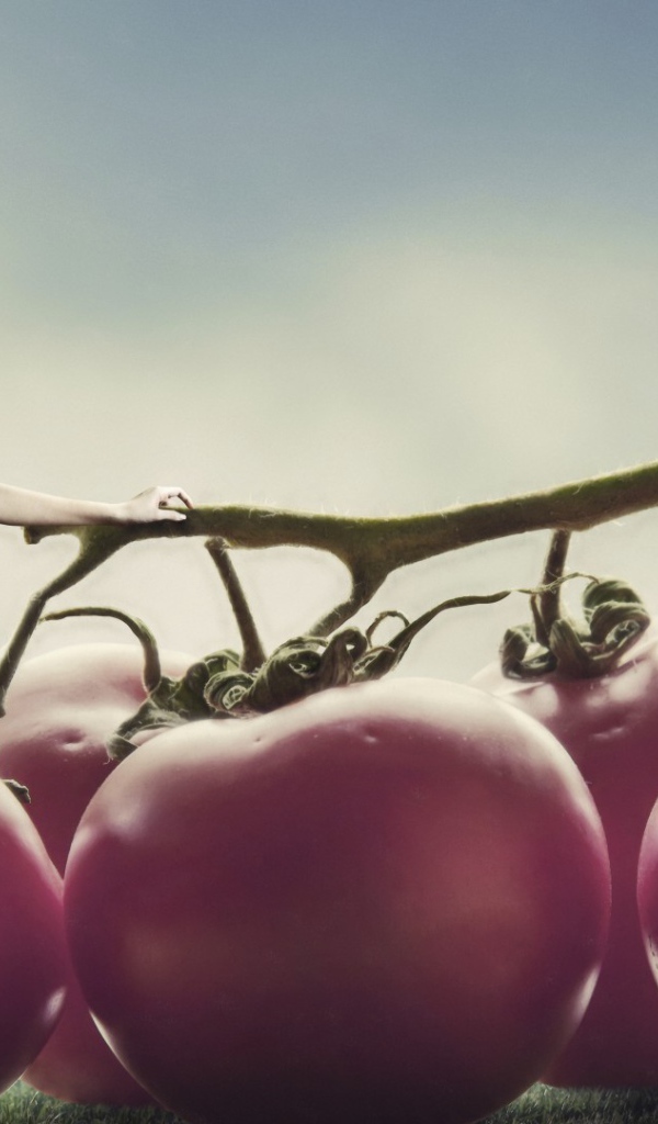 Девушка на томатах