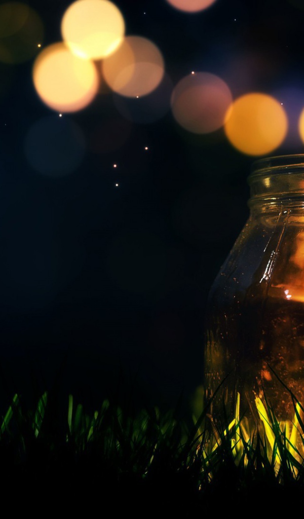 Стеклянная банка на траве ночью