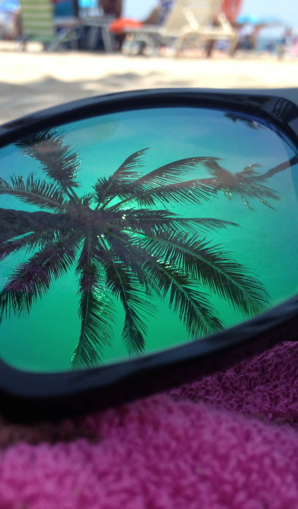 В очках отражение пальмы