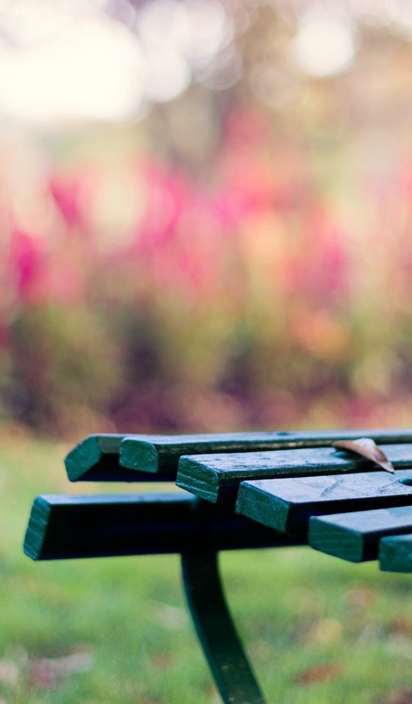 Зелёная скамейка на траве