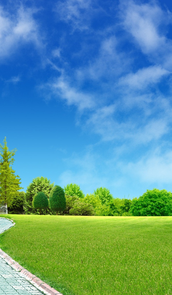 Зеленый дом