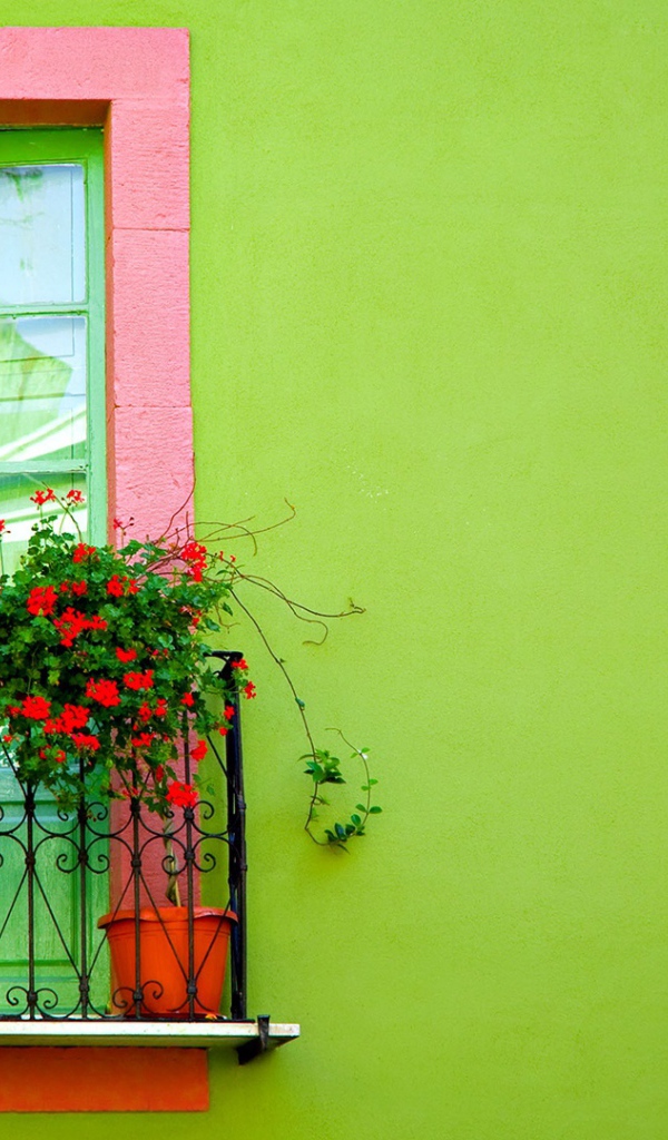 Окно на зеленой стене