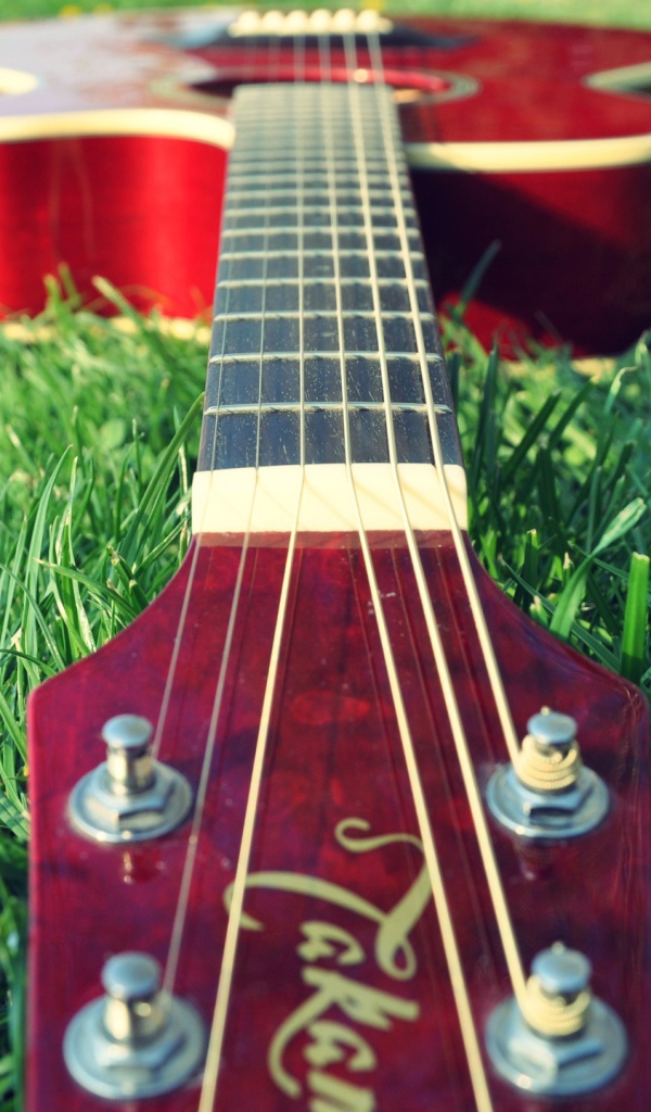 Guitar on the grass
