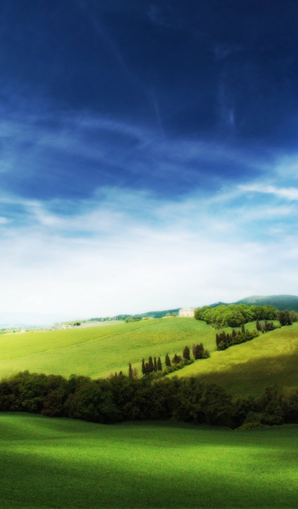 Полет мечты