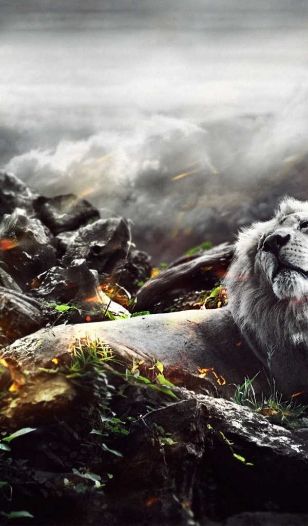 Лев в джунглях