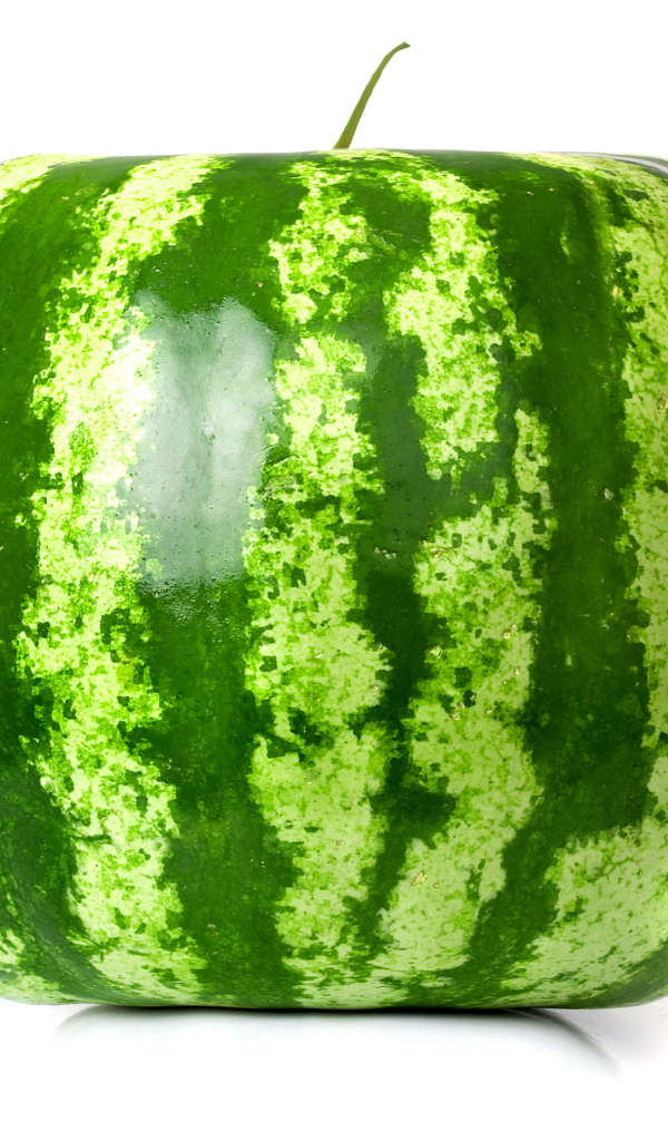 Просто квадратный арбуз