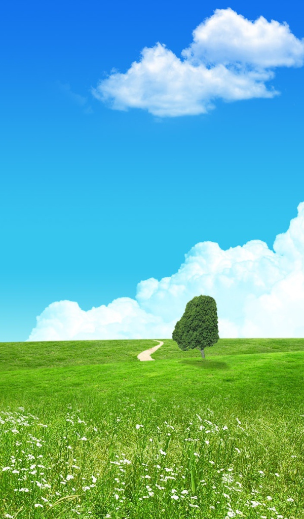 Любимый зеленый пейзаж