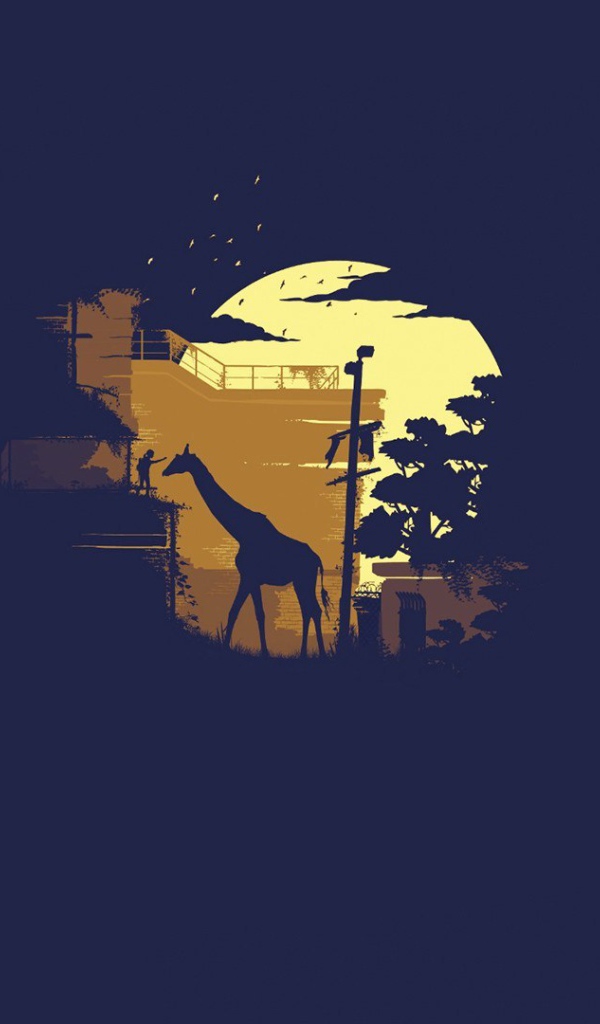 Человек кормит жирафа