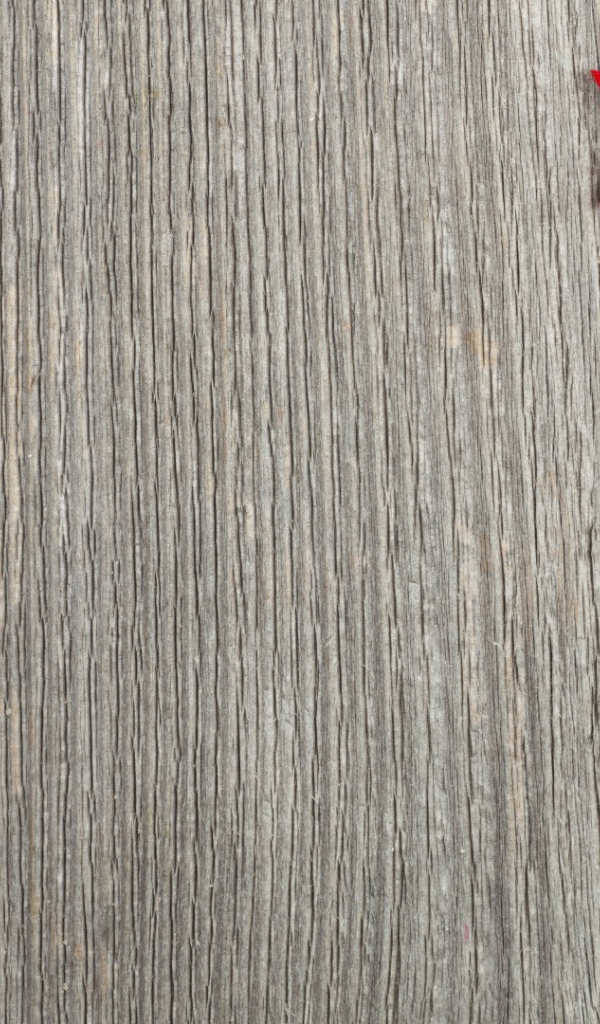 орнамент на ленте