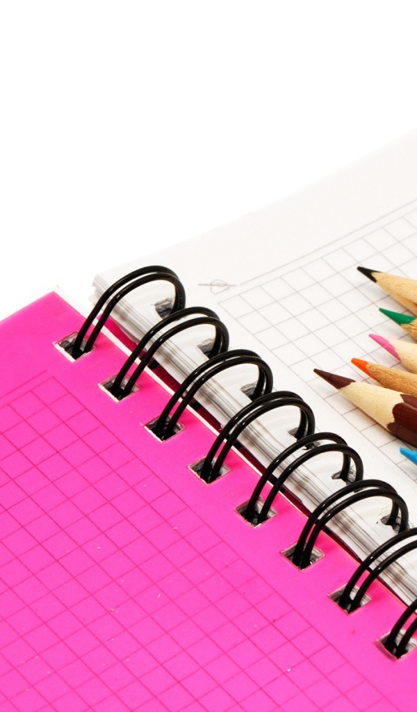 Карандаши на тетради