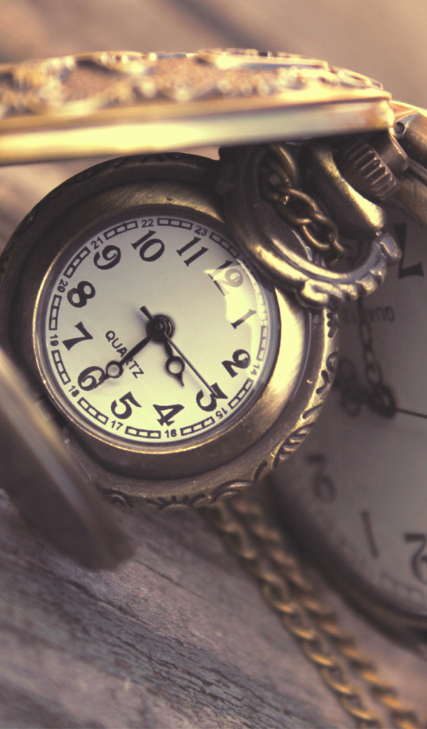 Карманные часы с крышками