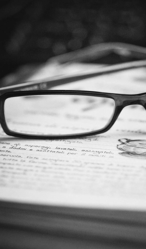 Очки на записной книге