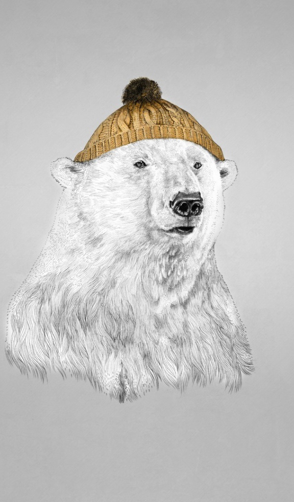 Polar bear in a cap