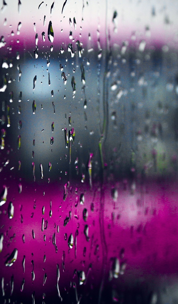 Дождливый день