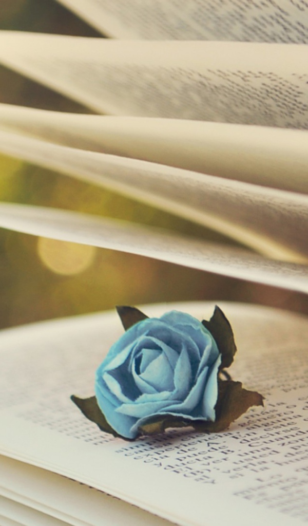 Роза в книге