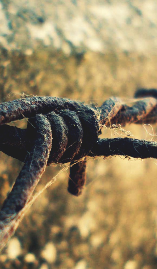 Ржавая колючая проволока