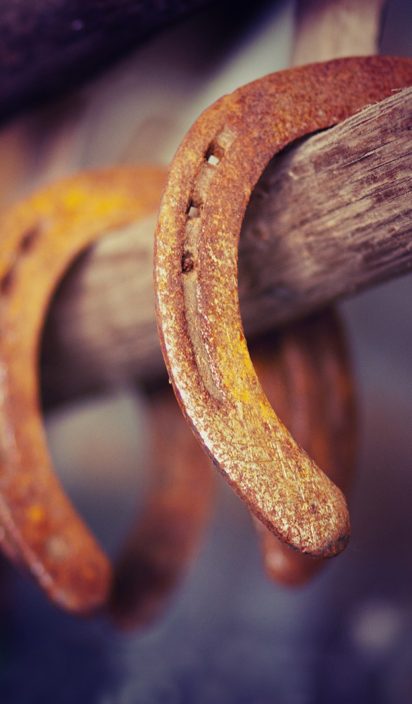 Ржавые подковы