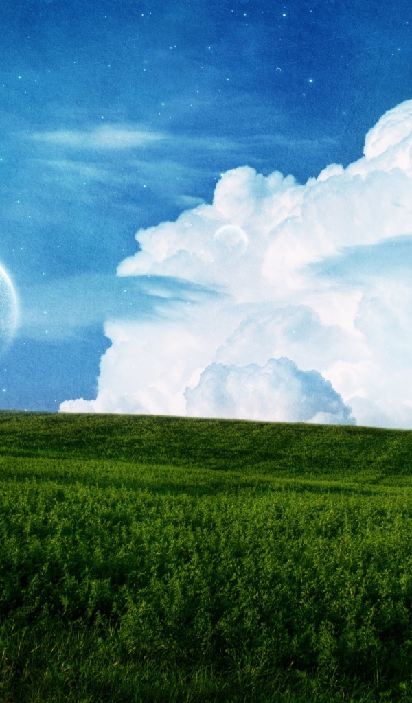 Поле и небо