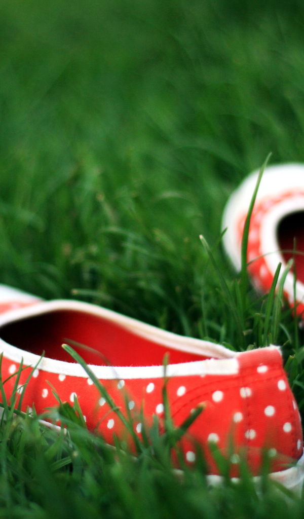 Тапочки в траве