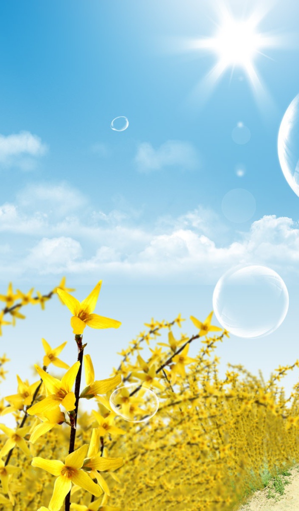 Сияние солнца