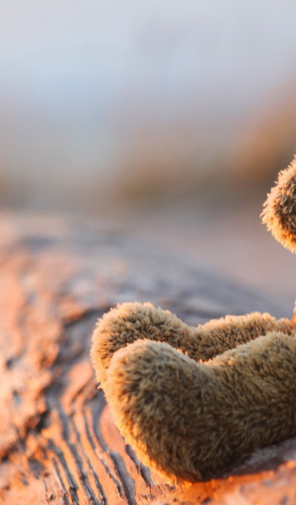 Плюшевый мишка на закате