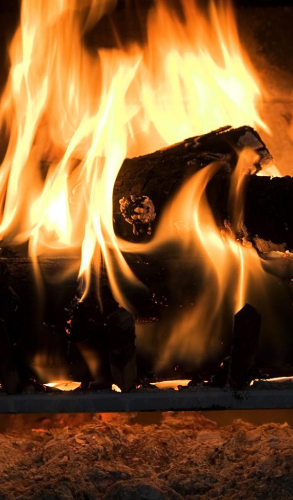 Огонь в камине