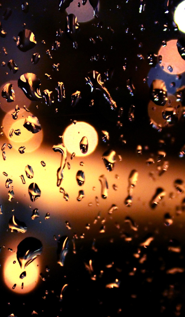 Блики на мокром стекле