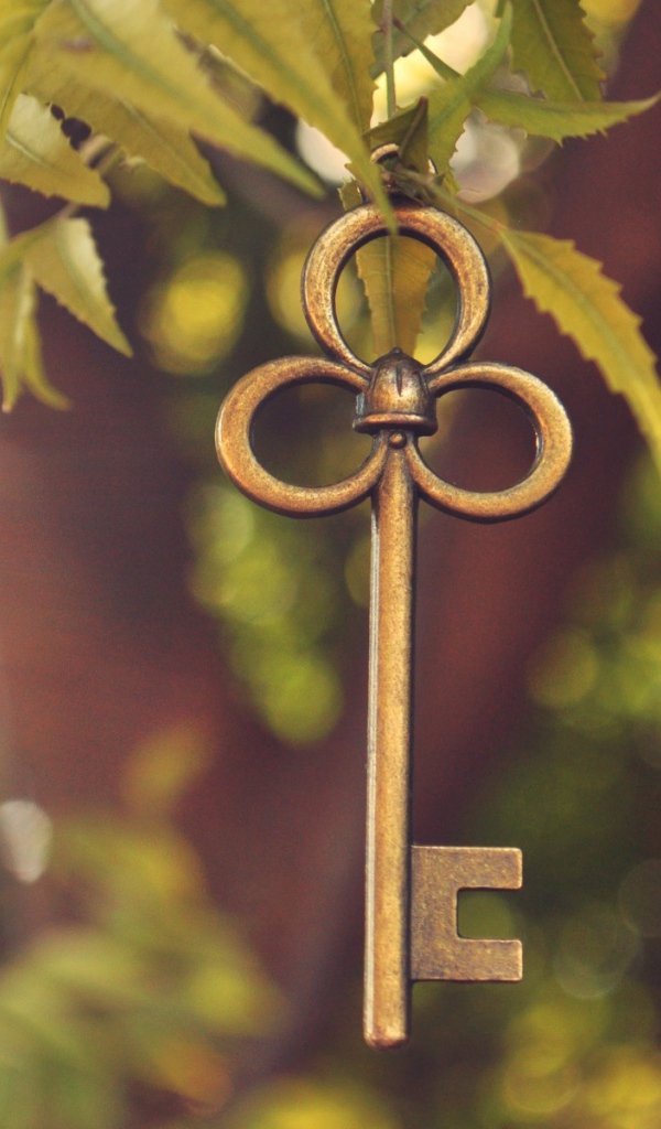 Ключ висит на ветке