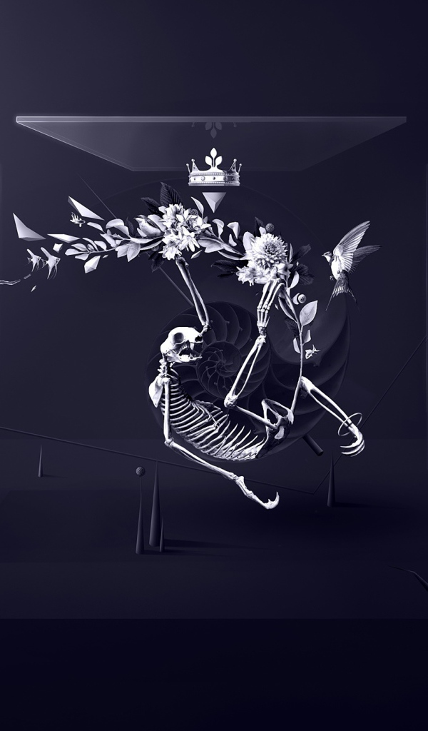 Скелет между стеклами